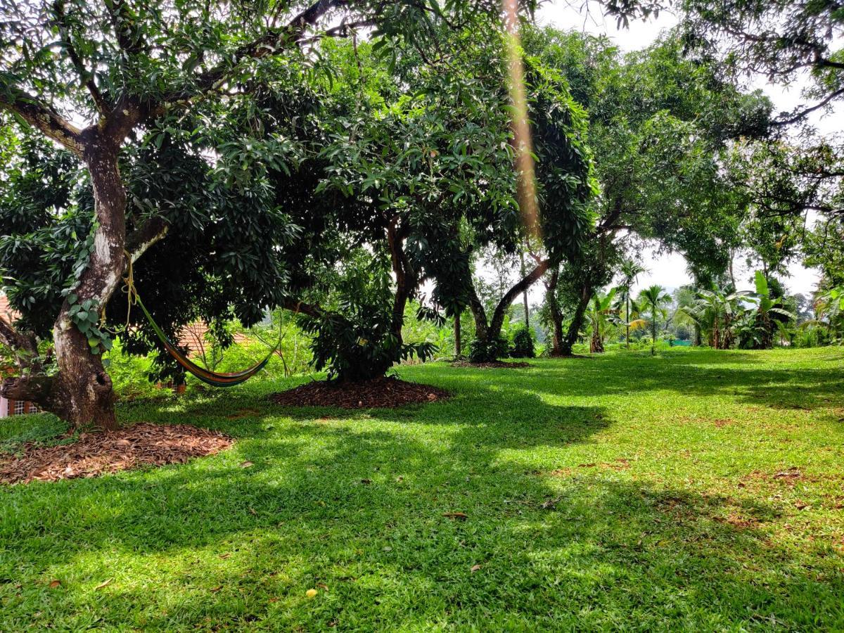 Carmel Tourism Village Kotamangalam Dış mekan fotoğraf