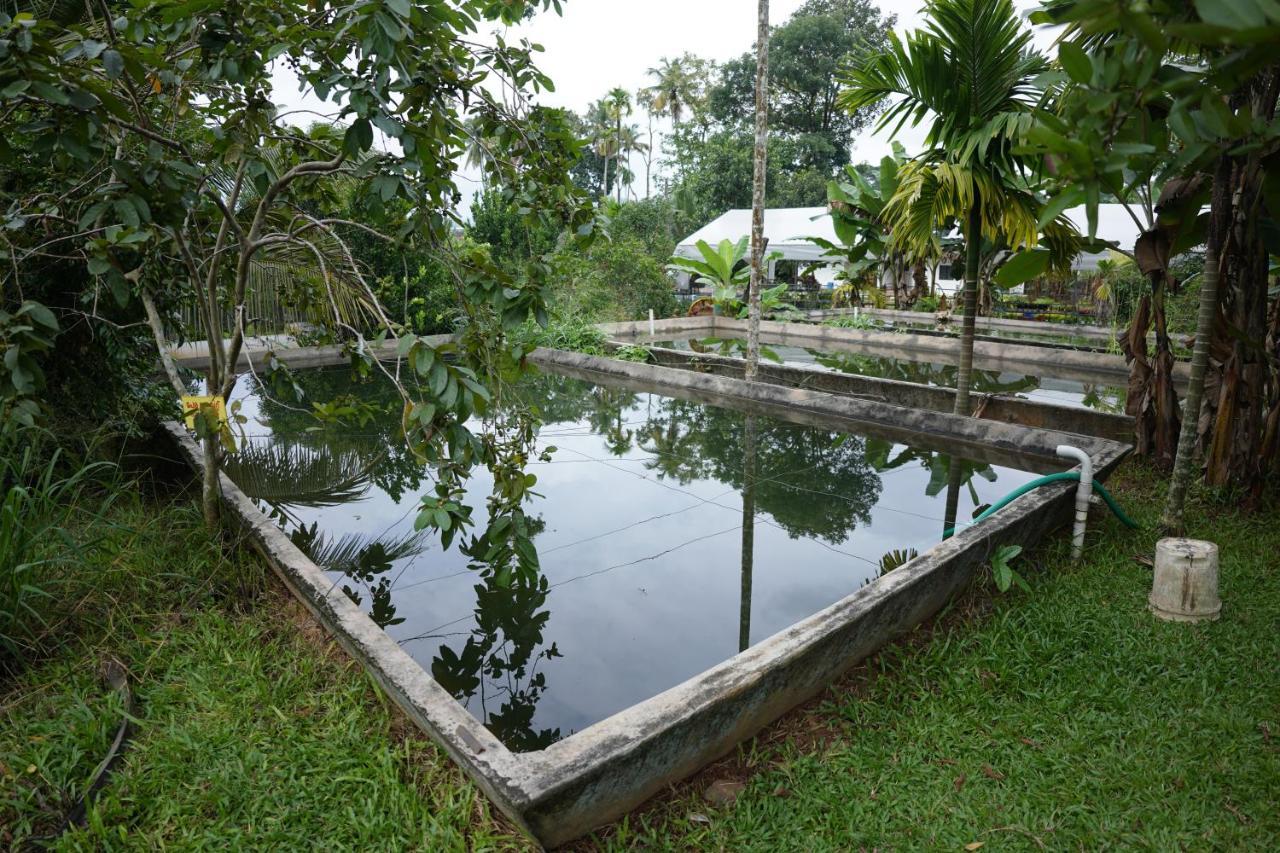 Carmel Tourism Village Kotamangalam Dış mekan fotoğraf