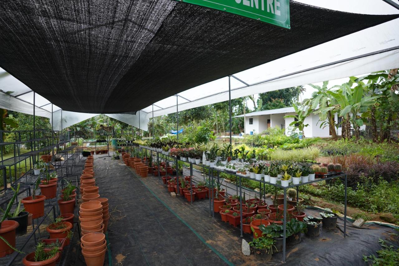 Carmel Tourism Village Kotamangalam Dış mekan fotoğraf